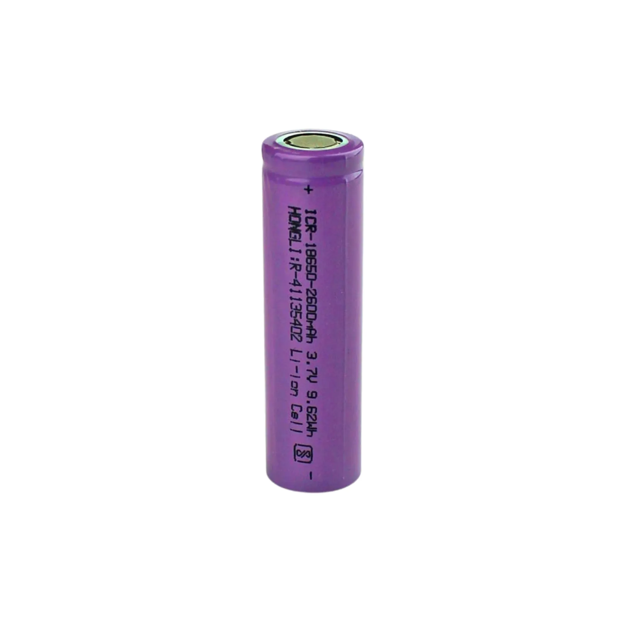 ElectroGlobal 2600mAh 3C Lithium Rechargeable Battery Pack of 2